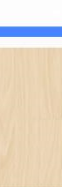 misunderstood